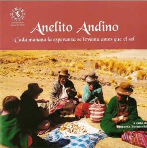 copertina Anelito Andino